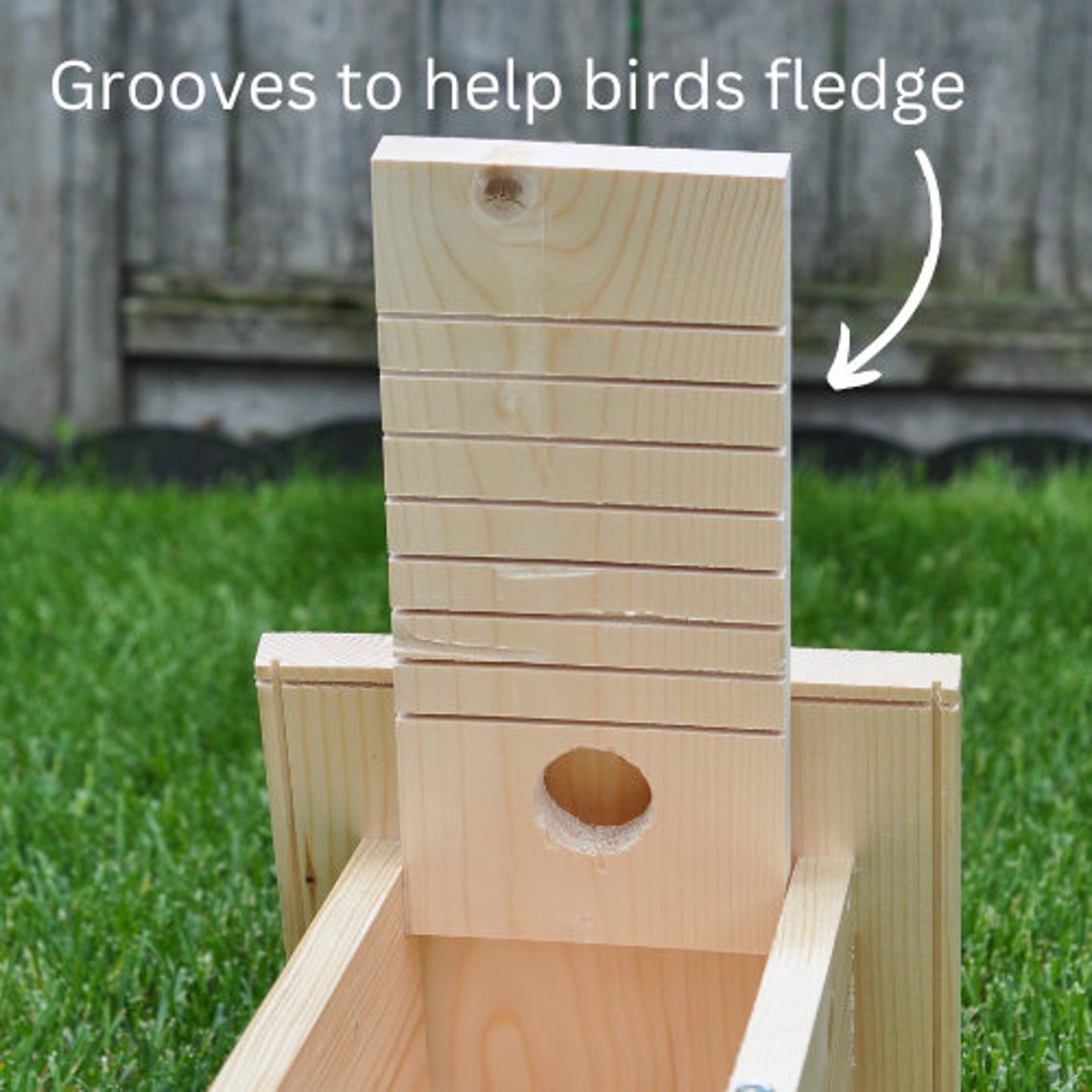 Bird Nest Box | Swallow Bird House | Swallow/small Bird Nesting House ...