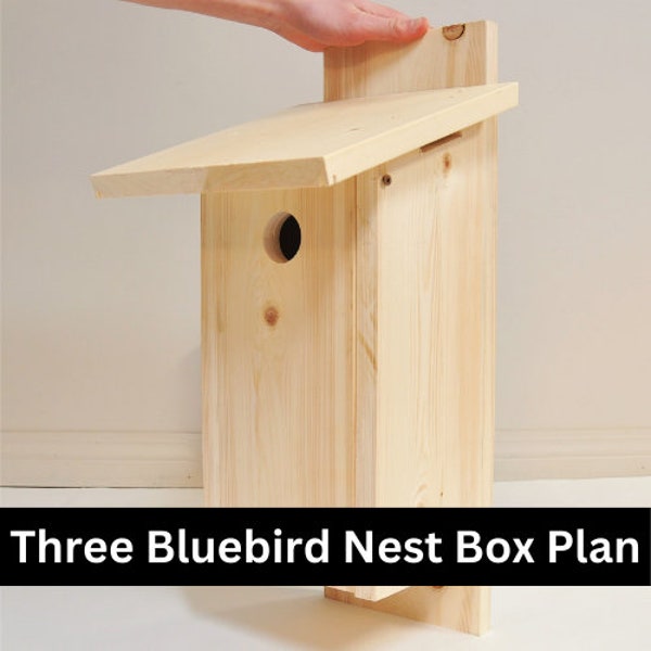 Bird Nest Box Plan | Bluebird House Plan DIY