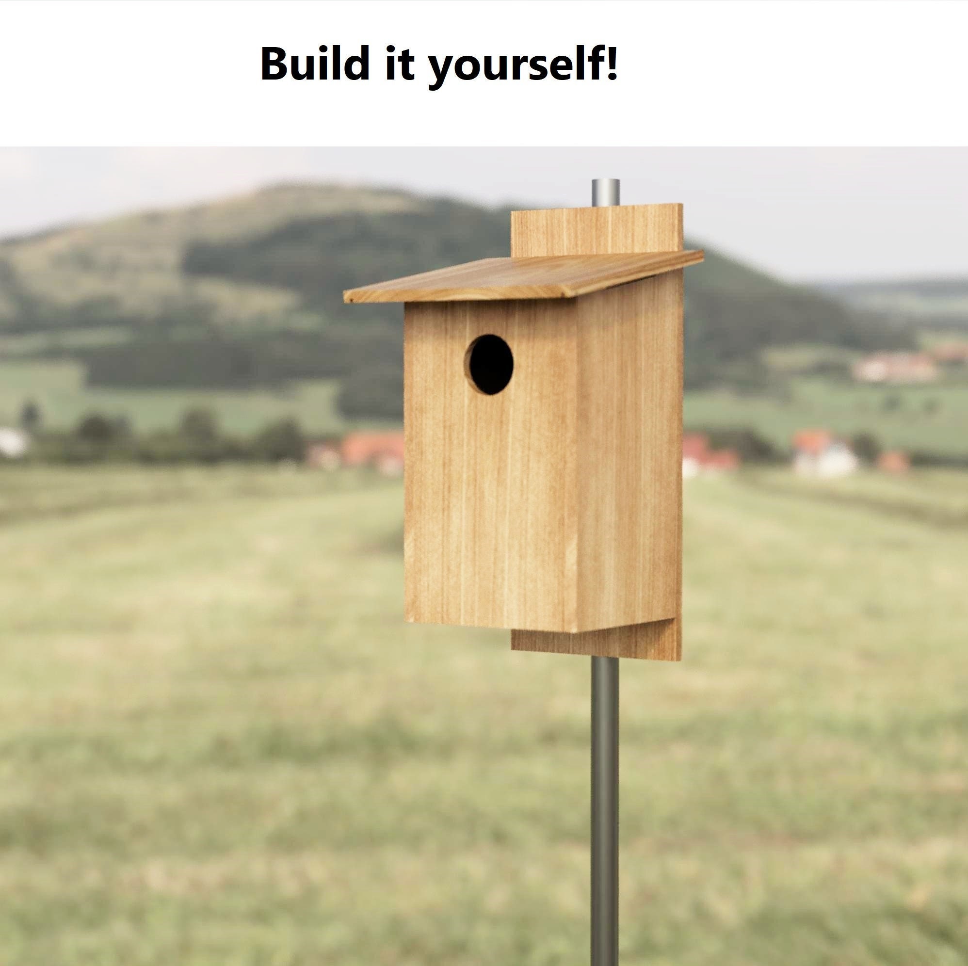 Bird Nest Box Plan Pileated Woodpecker House Plan DIY Etsy