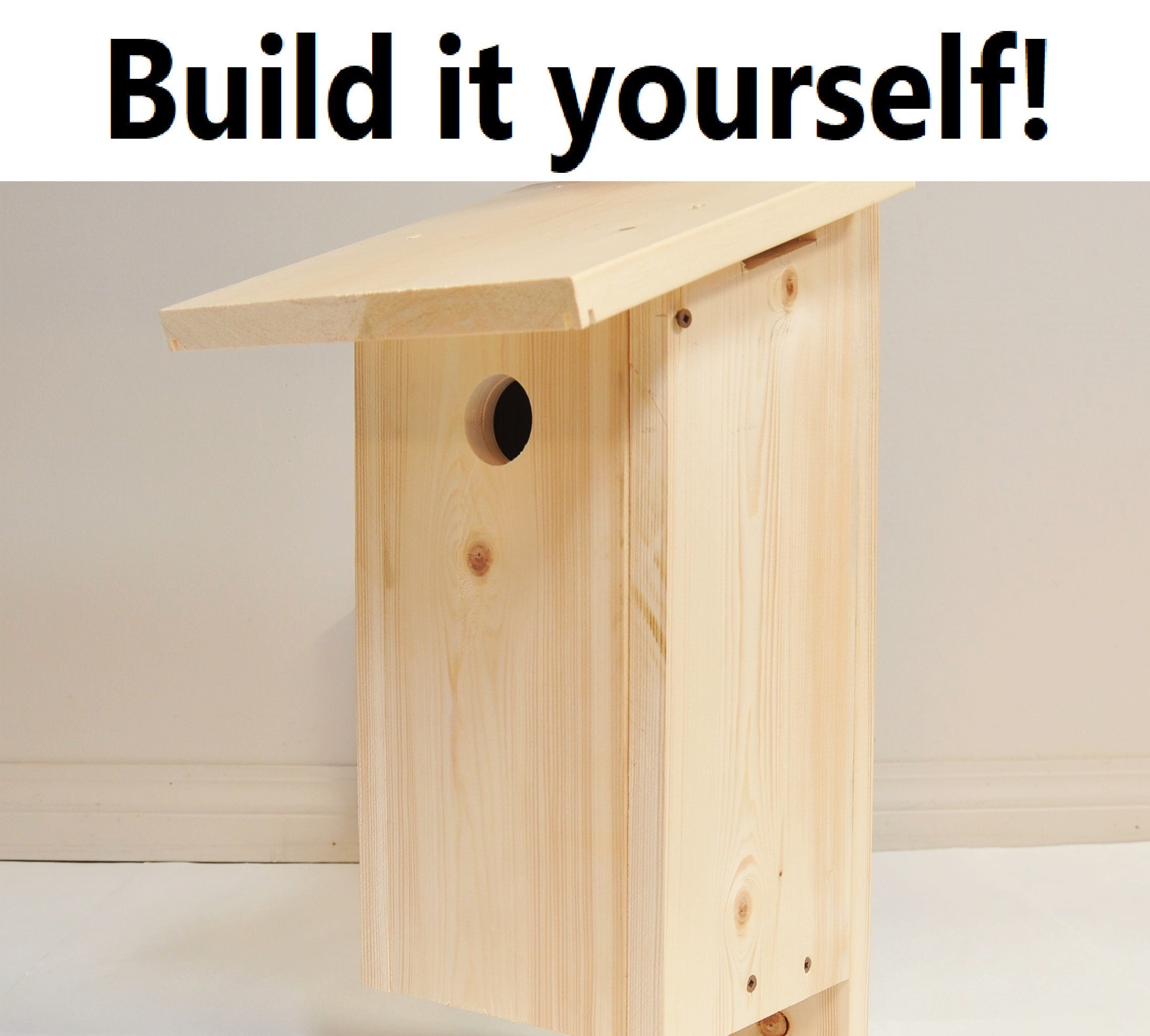 Bird Nest Box Plan Bluebird House Plan DIY Etsy