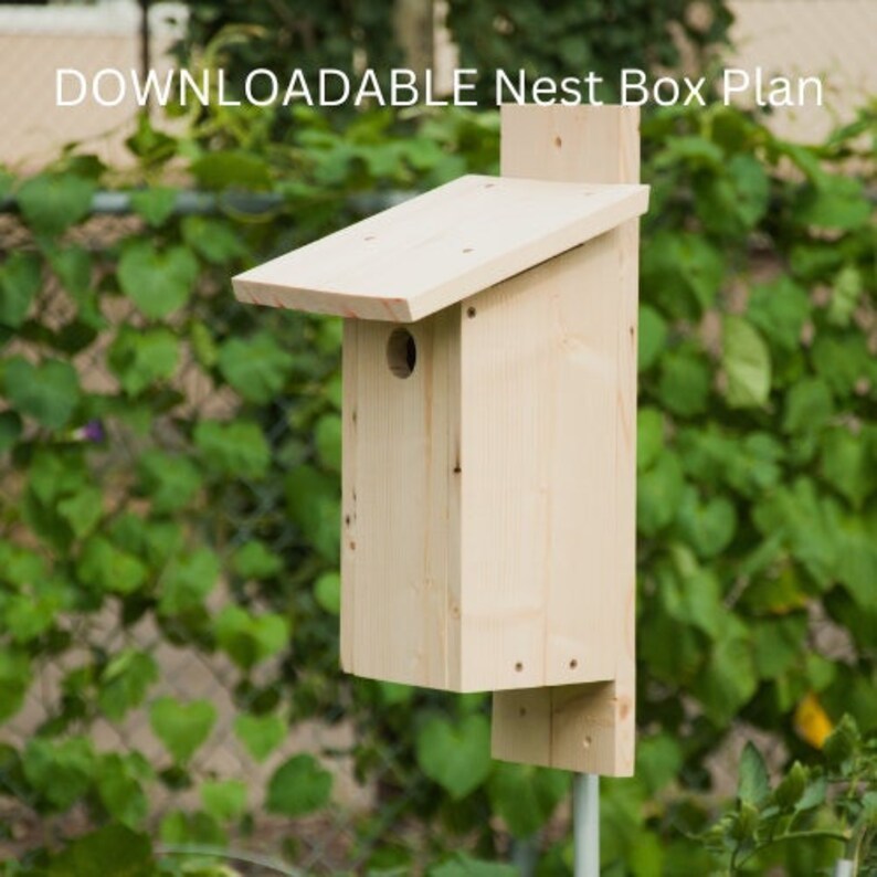 Bird Nest Box Plan Multispecies Nesting Box Plan DIY Etsy