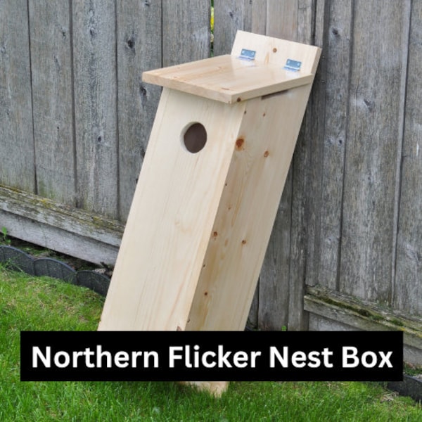 Bird Nest Box | Northern Flicker Nesting House Flat Pack | DIY Bird Box Kit