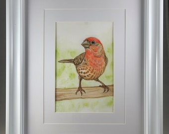 House Finch- Original 9x11" FRAMED Watercolor painting