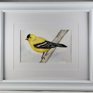Goldfinch- Original 9x11&quot; FRAMED Watercolor painting
