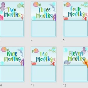 Birthday Decoration Bundle - Under the Sea Theme