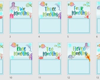 Birthday Decoration Bundle - Under the Sea Theme