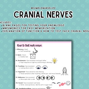 Cranial Nerves Study Guide BUNDLE, Nursing Cheat Sheet, Cranial Nerves ...
