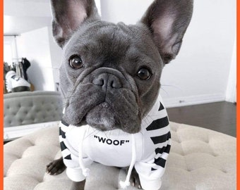 Hoodies And Jumpers For Dogs | Stylish Clothes For Dogs