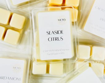 SEASIDE CITRUS Natural Handmade Coastal Fragrance Snap Bar Wax Melts, Vegan Non Toxic Grapefruit Mango Orange Peach Scented Soy Candle Cubes