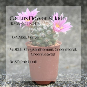 Cactus Flower + Jade Soy Wax Candle | Boho Candle | Green Vintage Glass Jar | Double Wick | Natural + Non-Toxic + Vegan + Eco-Friendly