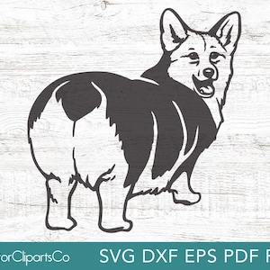 May include: Black and white silhouette of a corgi dog looking over its shoulder. The dog is standing on a white wooden background.