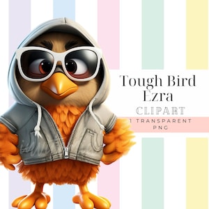 Quirky bird clipart cute farm animals clipart funny bird with glasses gray hooded jacket image commercial png funny and cute birds clipart