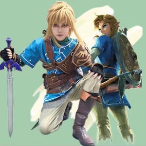 The Legend of Zelda Cosplay Kits: Breath of the Wild Link Stainless Steel Chain Mail Costume Cosplay Suit