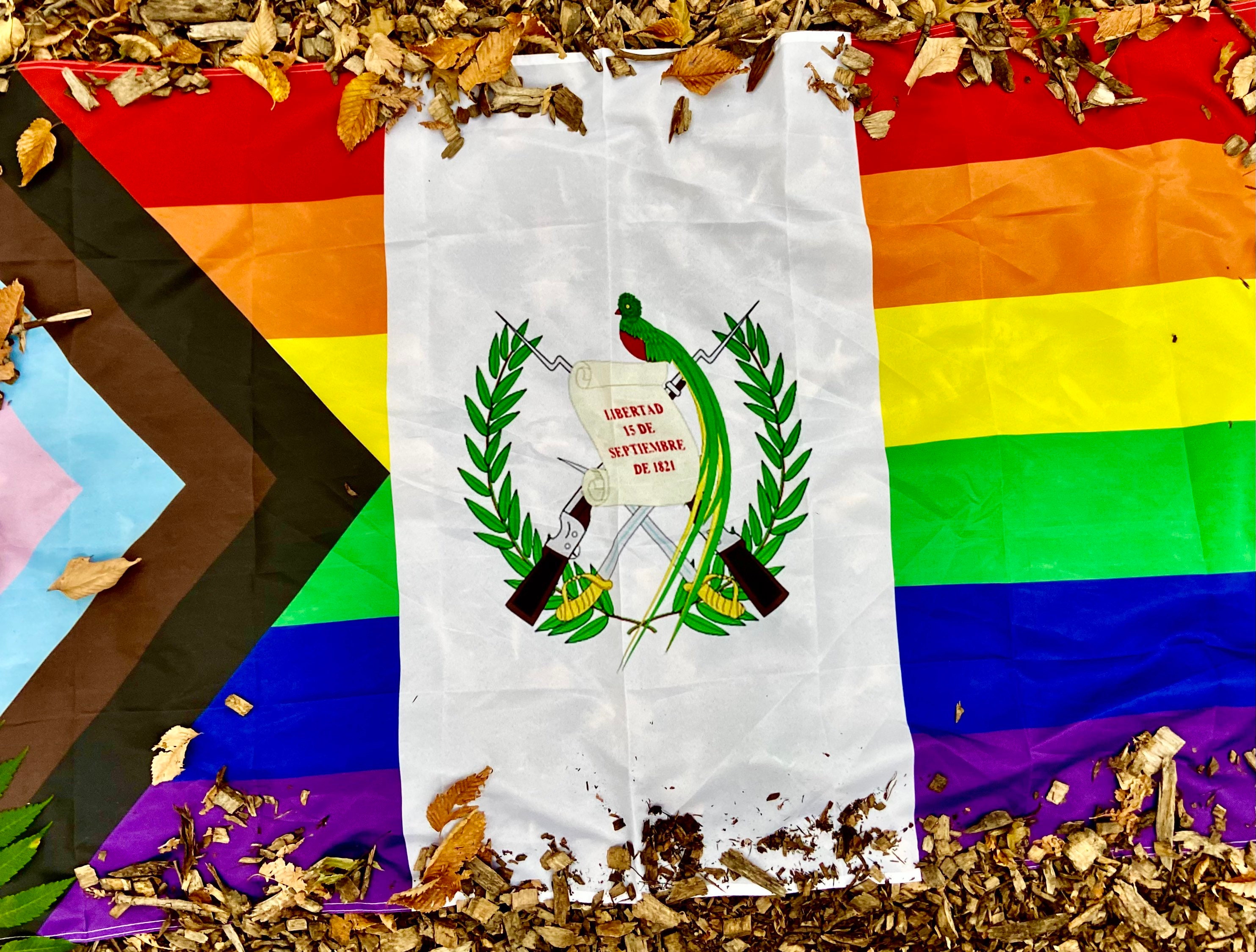 Guatemala Pride Flag Etsy