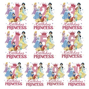 Princess Birthday png,Princess birthday girl png, Princess cake topper, Princess Party with Belle Sleeping Beauty, Family Matching Birthday