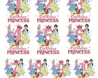 Princess Birthday png,Princess birthday girl png, Princess cake topper, Princess Party with Belle Sleeping Beauty, Family Matching Birthday