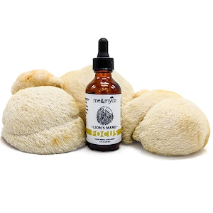 Lions Mane Mushroom Dual Extract Tincture - Soxhlet Extraction