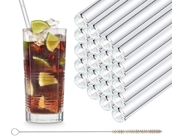 20x 23 cm (Straight) Glass Straws Party Set