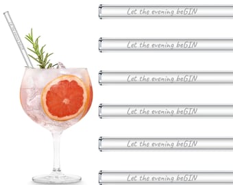 Glasstrohhalme Geschenk mit lustigem Gin Spruch Let the evening beGIN 6x 20cm Glastrinkhalm