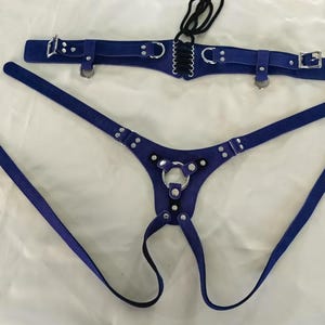 May include: A blue leather harness with a ring and straps. The harness has a separate blue leather belt with a buckle and eyelets.