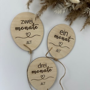 Holz Meilensteinkarten Baby - Meilensteine auf Holzscheiben als Geschenk zur Geburt für Schwangere, werdende Mütter usw.