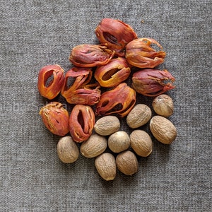 Nutmeg and Mace / Jathi / Jathi pathri /Jaiphal / Nutmeg Flower