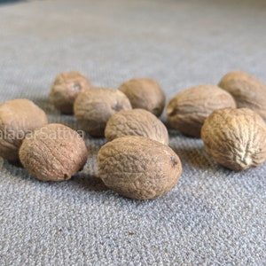 Nutmeg / Jathi / Jaiphal / Javitri / Jajikaya / Jathikkai / Jaiphol / Jaifal