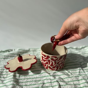 Può includere: Un contenitore in ceramica con coperchio, decorato con disegni di peperoncini rossi. Il coperchio è a forma di fiore con un bordo rosso e una maniglia a forma di peperoncino. Una mano tiene un peperoncino, in procinto di metterlo nel contenitore. Il contenitore è su un panno a righe verdi e bianche.
