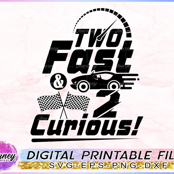 Two Fast Birthday - Etsy