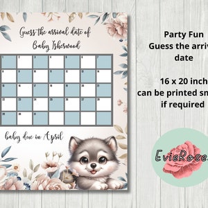 May include: A printable baby shower game with a calendar for guests to guess the arrival date of a baby due in April. The calendar is decorated with a cute cartoon wolf pup and floral designs in shades of pink, blue, and gray. The text "Guess the arrival date of Baby Isherwood" is at the top of the calendar. The text "Party Fun Guess the arrival date" is on the right side of the calendar. The text "16 x 20 inch can be printed smaller if required" is below the text "Guess the arrival date". The text "baby due in April" is below the calendar. The text "EvieRoses" is in a circle with a pink rose on a light green background.
