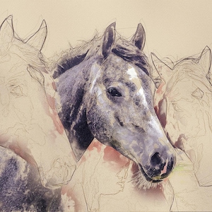 Action Photoshop pour transformer une photo en dessin détaillé : effets d'esquisse et d'aquarelle image 8