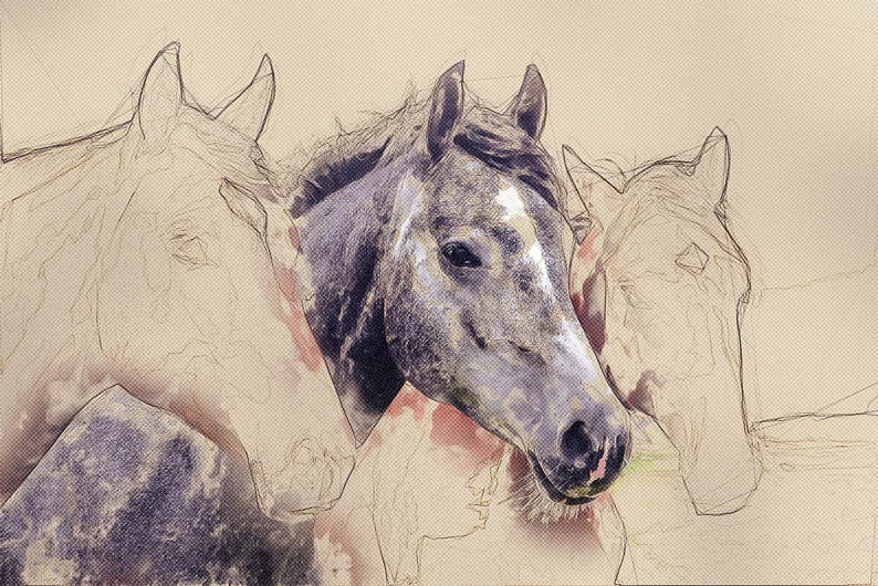 Action Photoshop pour transformer une photo en dessin détaillé : effets d'esquisse et d'aquarelle image 8