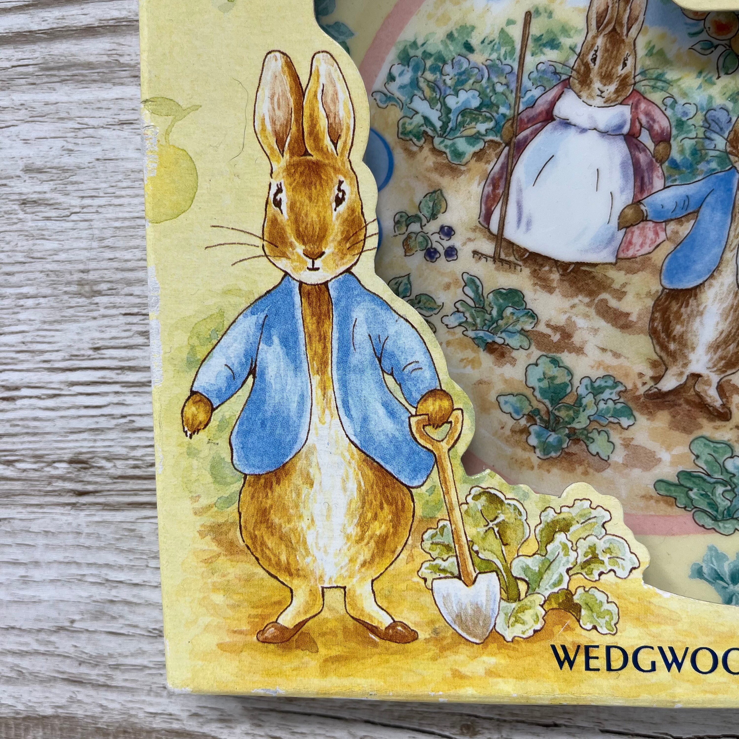 Vintage 1997 Wedgwood Peter Rabbit 18cm ABC Plate in Original Box
