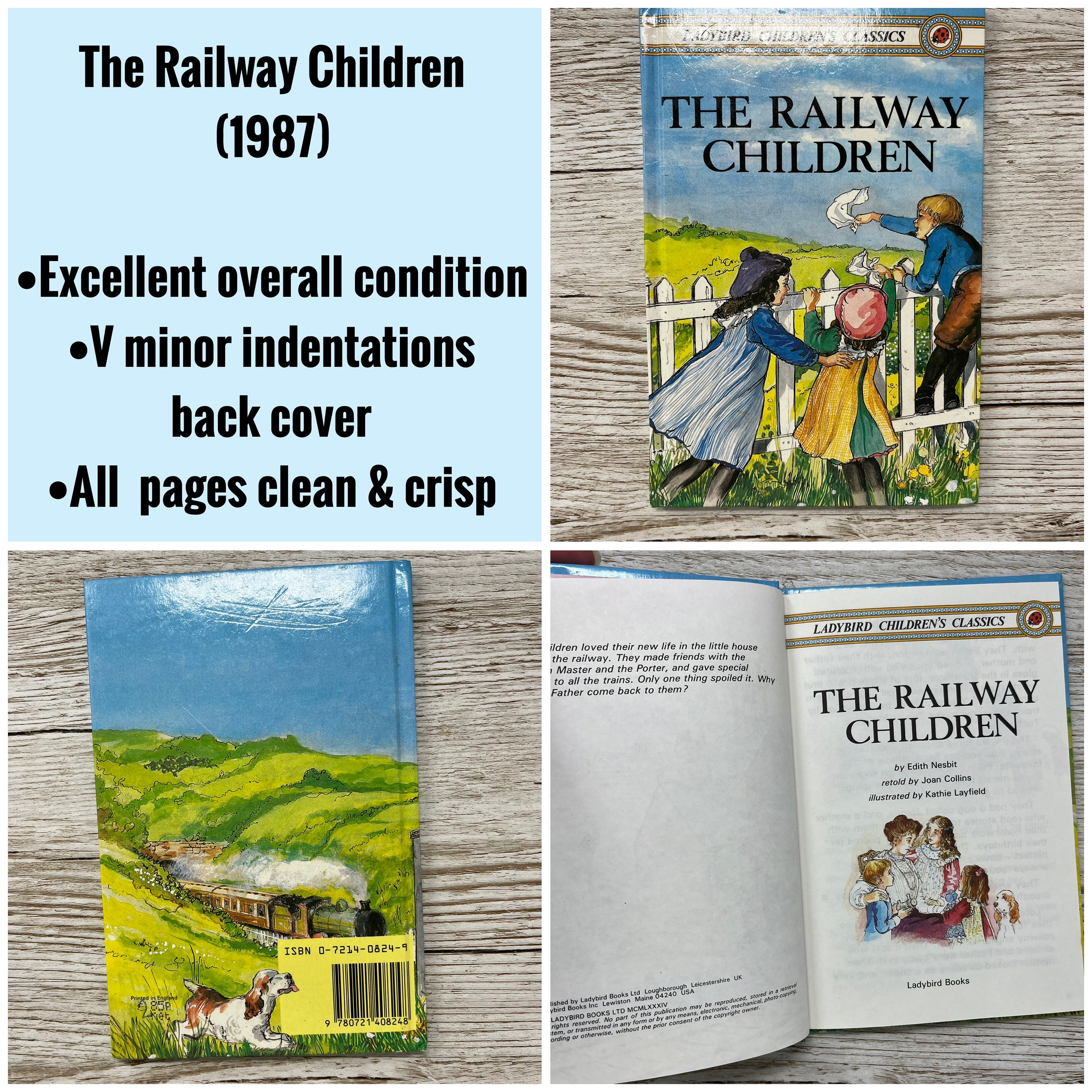 Vintage Ladybird Books, 1980/90s Edition Ladybird Children's