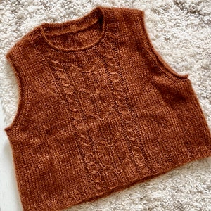 May include: A brown sleeveless knitted vest with a cable knit pattern.