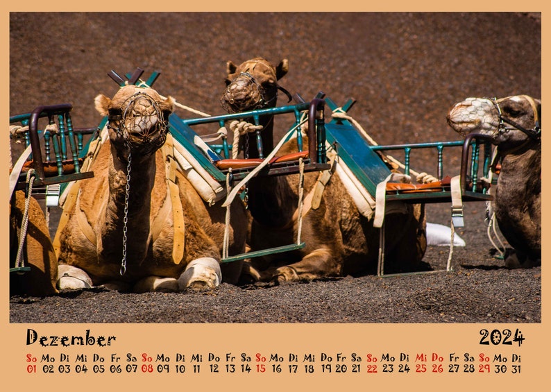 Lanzarote Calendar Wall Calendar Monthly Calendar Christmas Gift