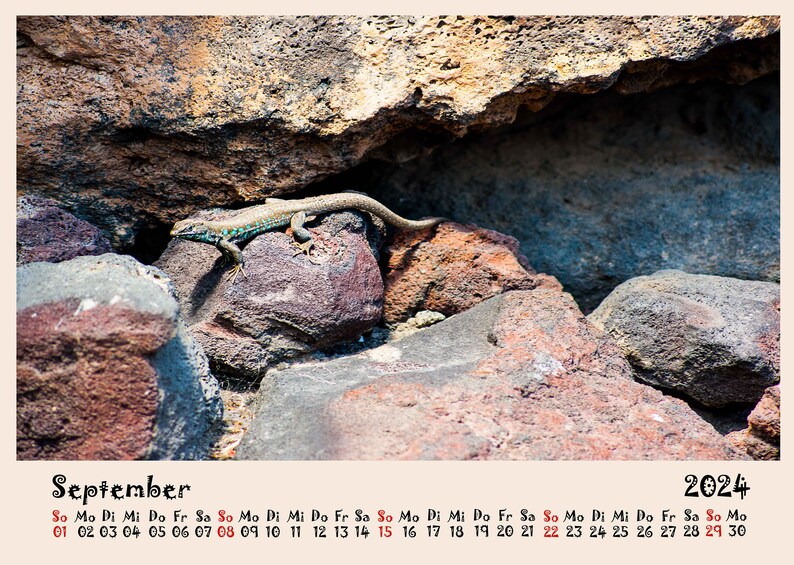 Lanzarote 2024 Wall Calendar Etsy