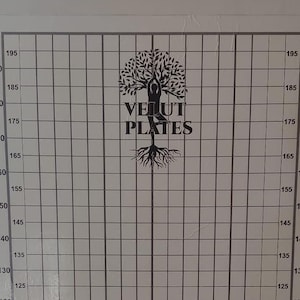 Puede incluir: Una pared blanca con un patrón de cuadrícula y una tabla de altura marcada en pulgadas. La tabla está etiquetada "2m" en la parte superior y muestra medidas de 15 a 195 pulgadas. Un logotipo en blanco y negro para "VELUT PLATES" está centrado en la pared. El logotipo presenta un árbol estilizado con raíces y el texto "VELUT PLATES".