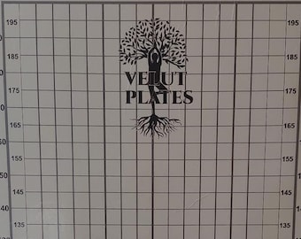 Custom Body Analysis Posture Chart, Gym Fitness Tracker, Vinyl Wall Decal