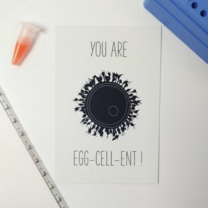 Vous êtes des ovocytes! / excellent / Carte postale / bleu blanc / design minimaliste / Science Motivation PhD PostDoc Academia