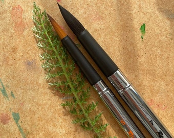 May include: Two paint brushes with black handles and silver ferrules. The brush on the left has a round tip and the brush on the right has a pointed tip. Both brushes have the brand name "Roundleaf" printed on the handle.