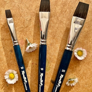 May include: Three flat paint brushes with blue handles and silver ferrules. The brushes are labelled "Roulhoff Premium" and have the sizes 10, 16, and 20. The brushes are made with squirrel mix bristles.