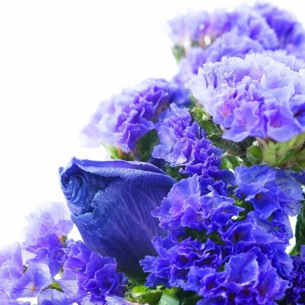 Wavyleaf Sea Lavender - Statice - Sea Pink - Blue Flowers 0.3g / 70 Seeds - Limonium Sinuatum