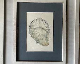 Arte De La Acuarela De Concha