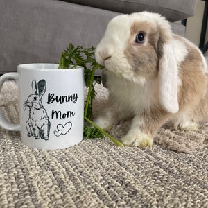 Orange and cream harlequin Holland lop eating carrot tops out of white ceramic mug with bunny printed on it and it says “bunny mom”