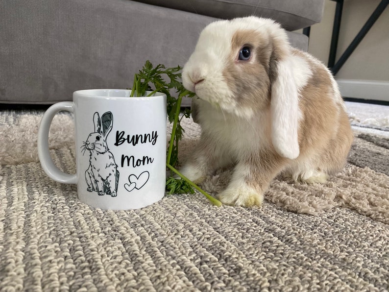 Orange and cream harlequin Holland lop eating carrot tops out of white ceramic mug with bunny printed on it and it says “bunny mom”