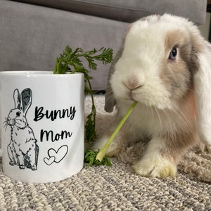 Orange and cream harlequin Holland lop eating carrot tops out of white ceramic mug with bunny printed on it and it says “bunny mom”