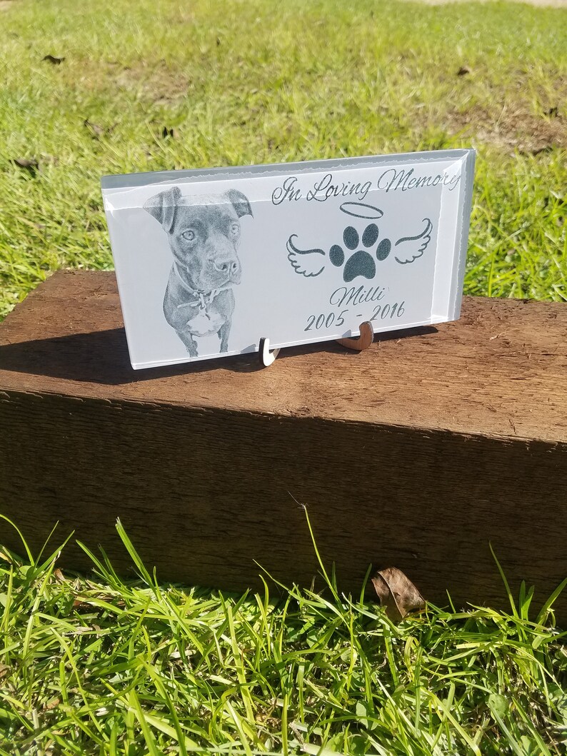 Pet Memory Glass Etched Display Showcase Etsy