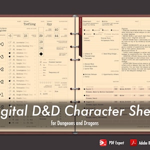 Könnte beinhalten: Ein digitales Dungeons and Dragons Charakterblatt mit braunem und cremefarbenem Hintergrund. Das Blatt ist gefüllt mit Informationen über den Charakter, einschließlich seines Namens, seiner Rasse, seiner Klasse und seiner Fähigkeiten. Der Name des Charakters ist Wynd, und er ist ein Tiefling-Krieger.