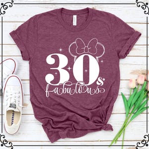 Disney Birthday Shirt, 30th Birthday Shirt, Disney Shirt, Birthday Shirt, 1995 Shirt, Disney Family Shirt, 30th Birthday Gift, 30th Birthday